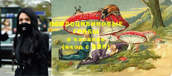 кристаллы Козловка